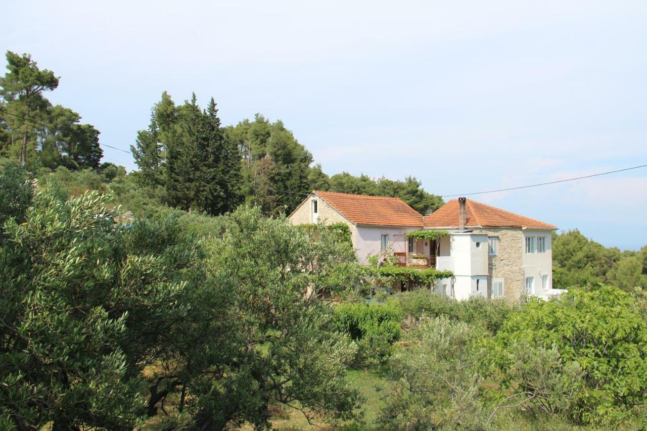 Apartmani Ivankovic Vrisnik Extérieur photo